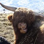 Rennsteig-pension Trautwein