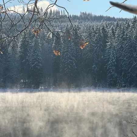 Appartement Rennsteig-pension Trautwein Neuhaus am Rennweg