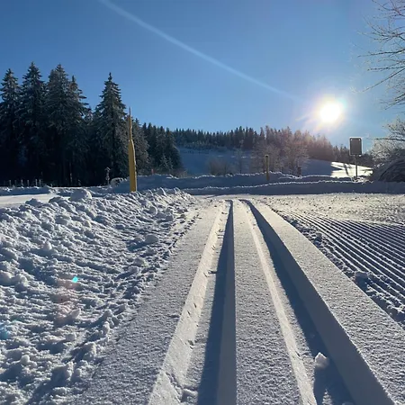 Rennsteig-pension Trautwein Neuhaus am Rennweg