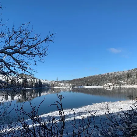 Rennsteig-pension Trautwein Appartement Neuhaus am Rennweg