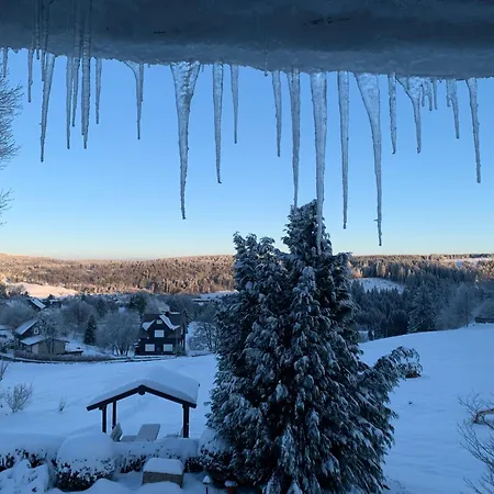 Appartement Rennsteig-pension Trautwein Neuhaus am Rennweg