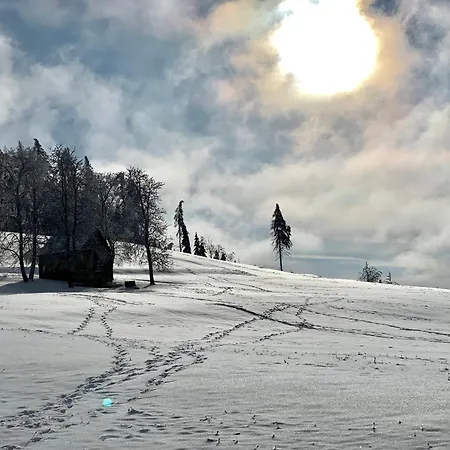 Appartement Rennsteig-pension Trautwein *