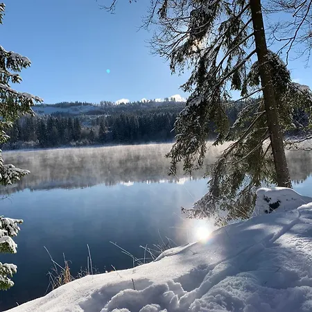 Rennsteig-pension Trautwein Neuhaus am Rennweg