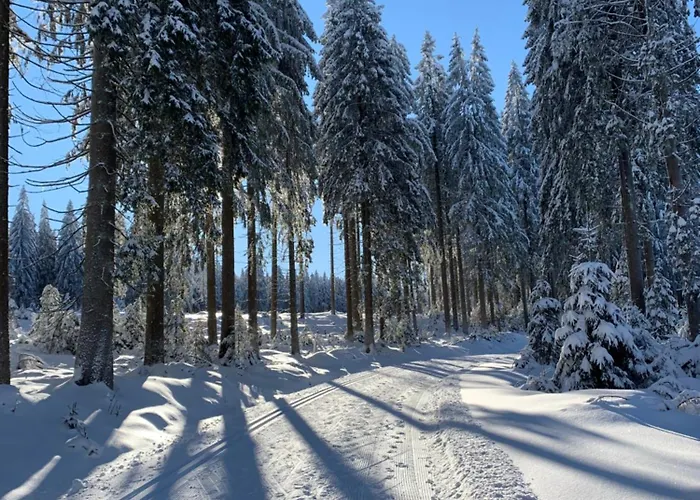 Rennsteig-pension Trautwein Appartement