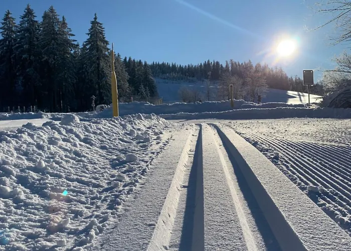 Rennsteig-pension Trautwein Neuhaus am Rennweg