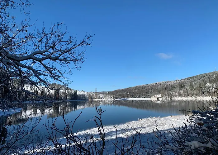 Rennsteig-pension Trautwein Appartement Neuhaus am Rennweg
