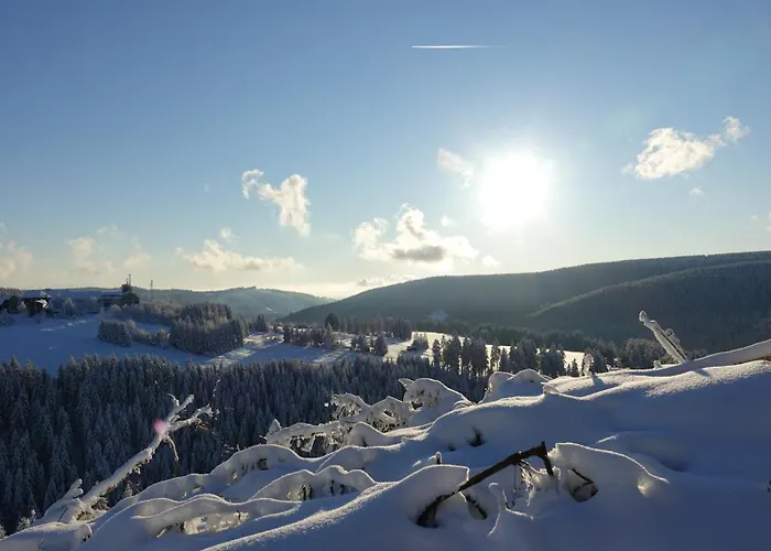Rennsteig-pension Trautwein * Neuhaus am Rennweg