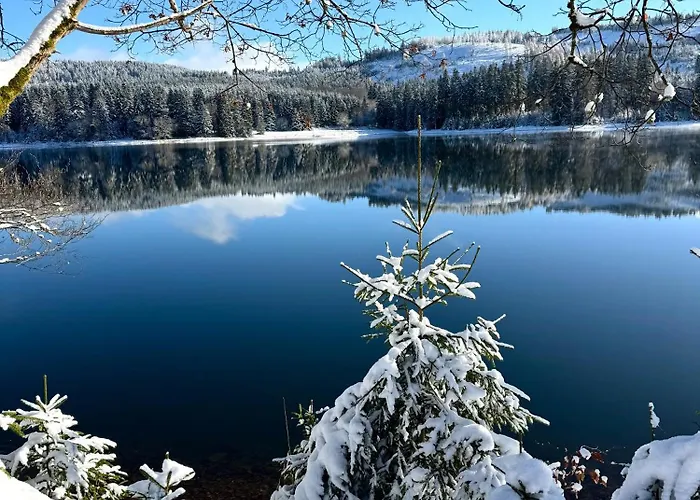 Rennsteig-pension Trautwein Appartement Neuhaus am Rennweg