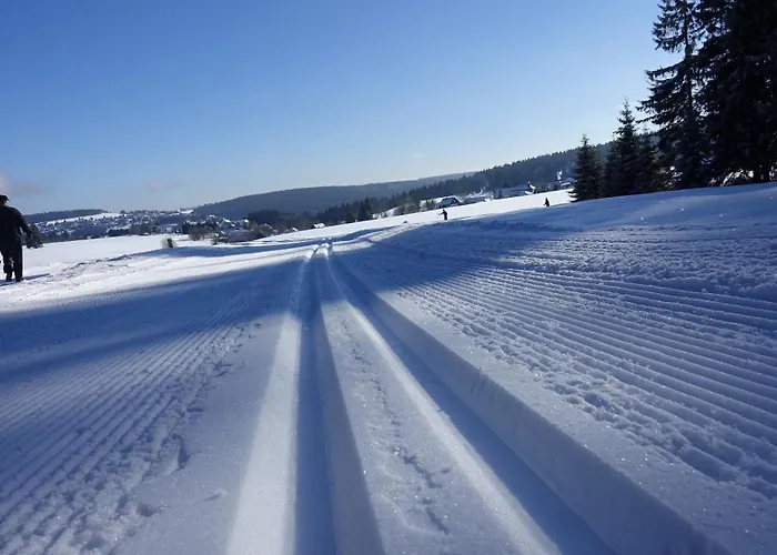 Rennsteig-pension Trautwein