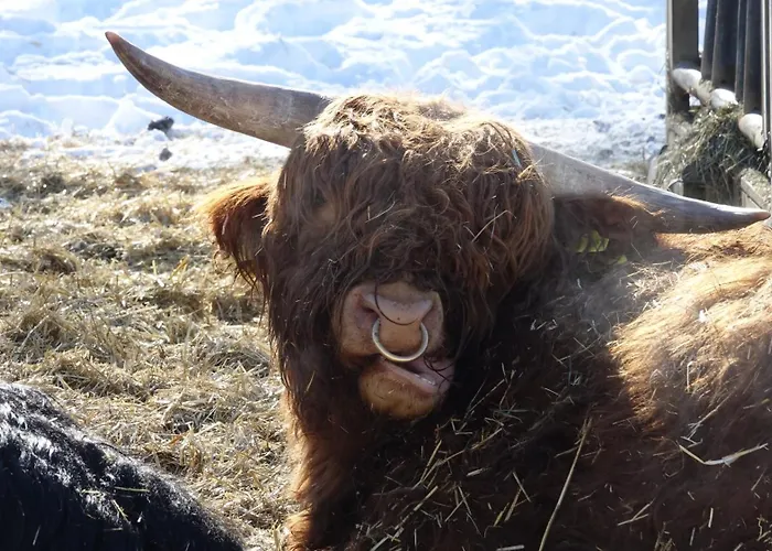 Rennsteig-pension Trautwein