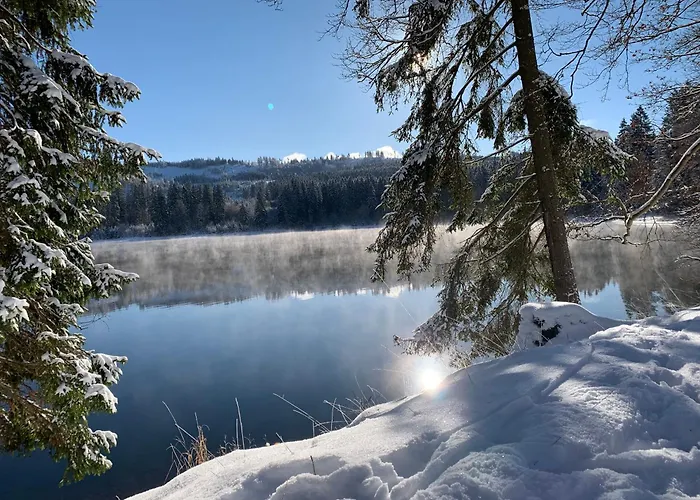 Rennsteig-pension Trautwein Neuhaus am Rennweg
