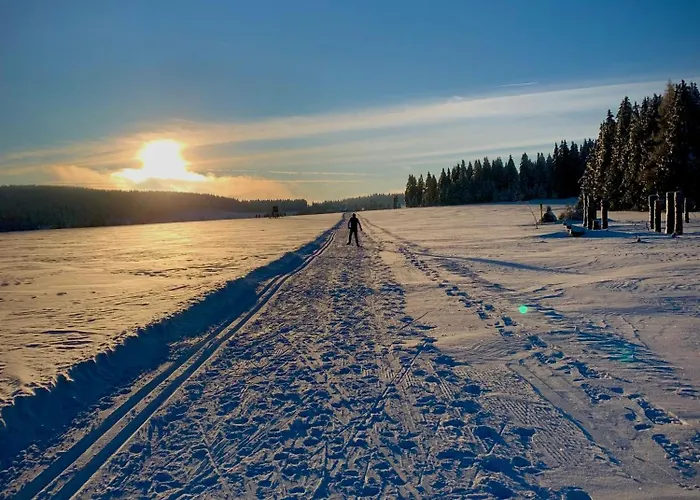 Appartement Rennsteig-pension Trautwein *