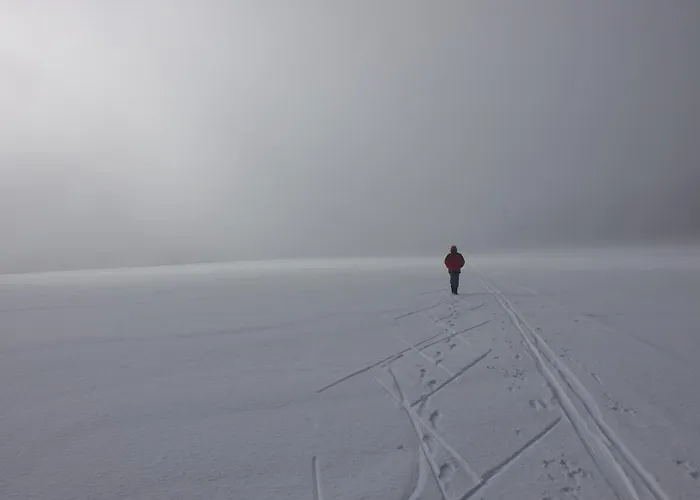 Rennsteig-pension Trautwein Neuhaus am Rennweg