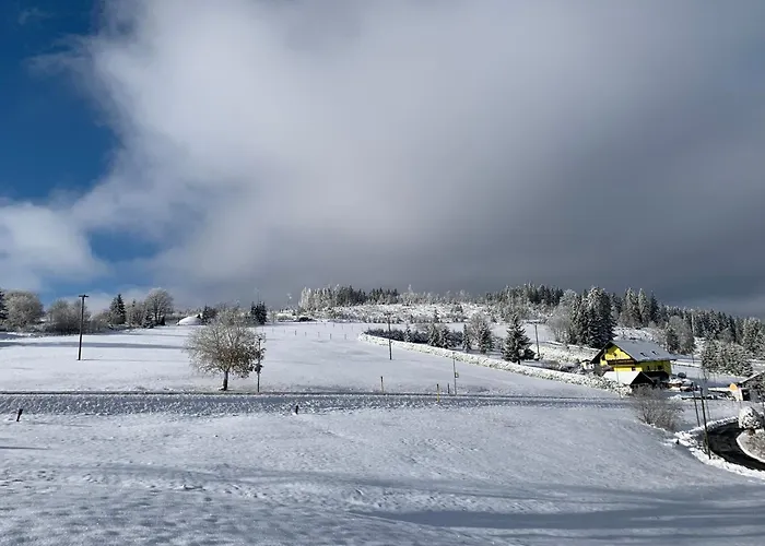 Rennsteig-pension Trautwein * Neuhaus am Rennweg