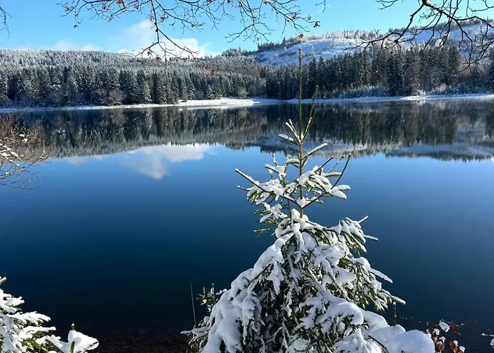 Appartement Rennsteig-pension Trautwein *