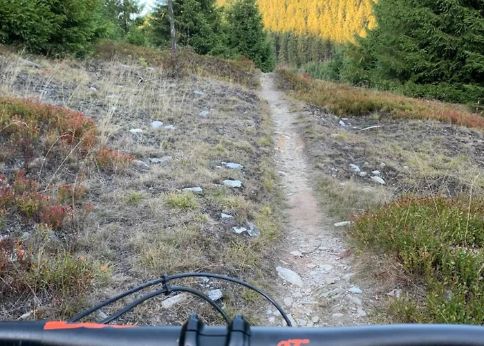 Rennsteig-pension Trautwein Neuhaus am Rennweg