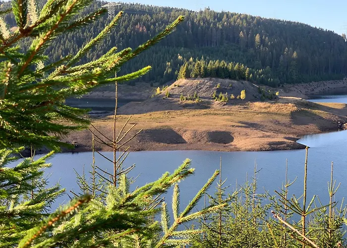 Rennsteig-pension Trautwein Appartement Neuhaus am Rennweg